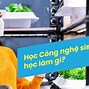 Các Chính Sách Liên Quan Đến Nông Nghiệp Chung Eu