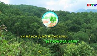 Chi Phí Dịch Vụ Môi Trường Rừng