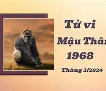 Coi Tử Vi Tuổi Mậu Thân Năm 68