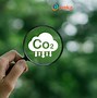 Giảm Thiểu Dấu Chân Carbon